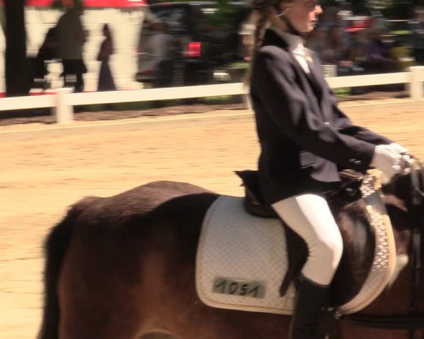 Reitturnier Meppen 2018