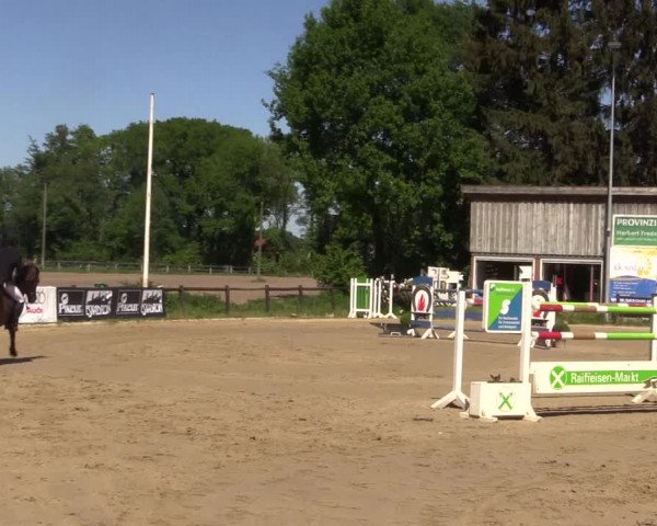 Reitturnier Havixbeck 2018