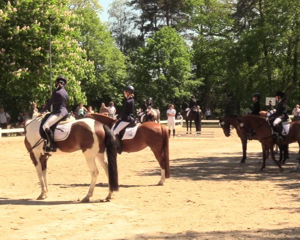 Reitturnier Meppen 2018