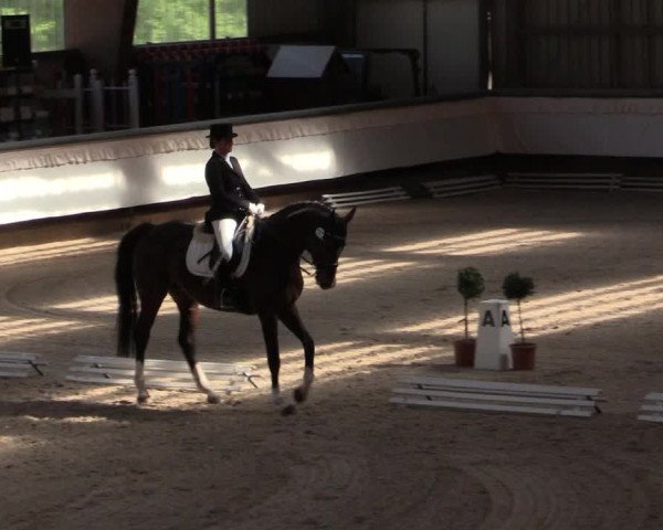 Reitturnier Kreuztal 2018