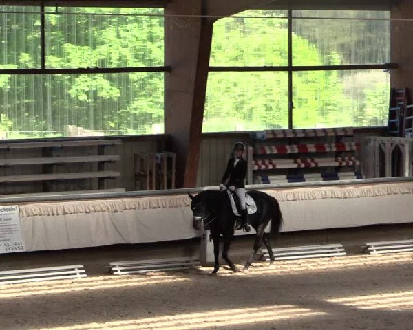 Reitturnier Kreuztal 2018