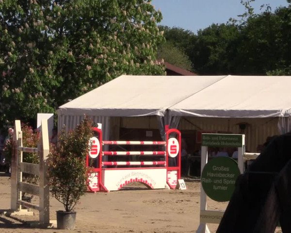 Reitturnier Havixbeck 2018