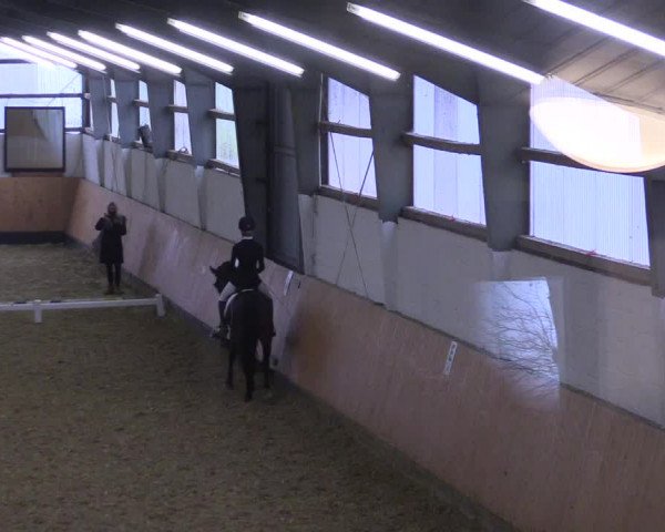 Reitturnier Datteln 2021