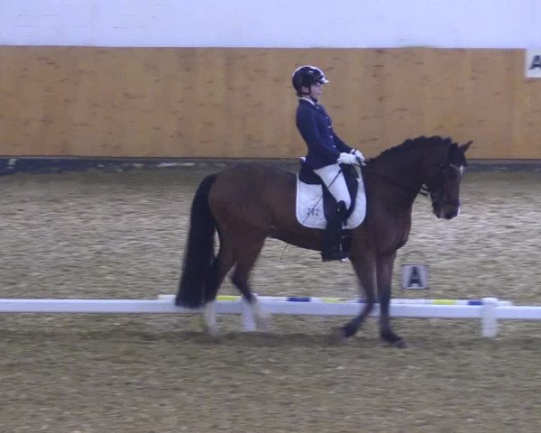 Reitturnier Datteln 2021