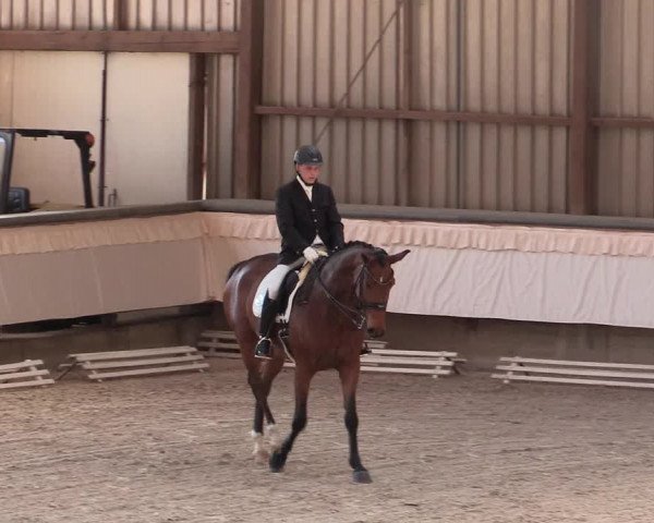 Reitturnier Kreuztal 2018
