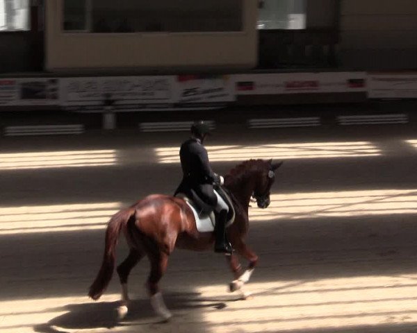 Reitturnier Kreuztal 2018