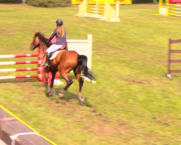 Reitturnier Altbarnim 2018