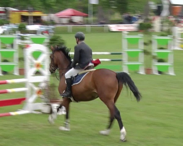 Greppiner Derby 2018