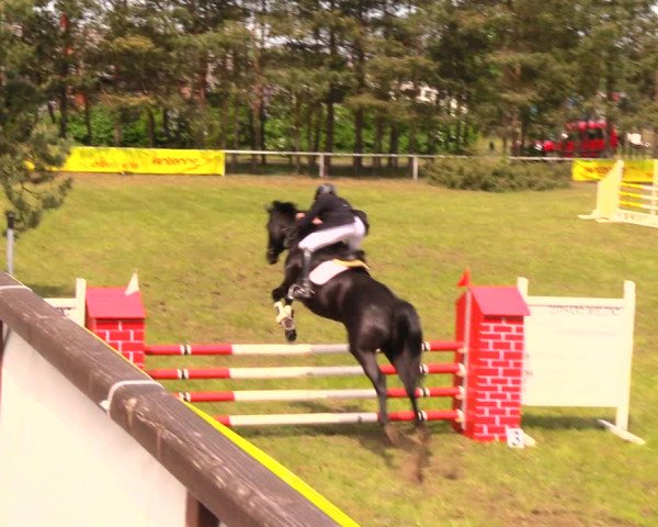 Reitturnier Altbarnim 2018