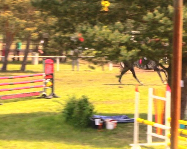 Reitturnier Altbarnim 2018