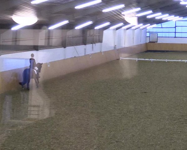 Reitturnier Datteln 2021