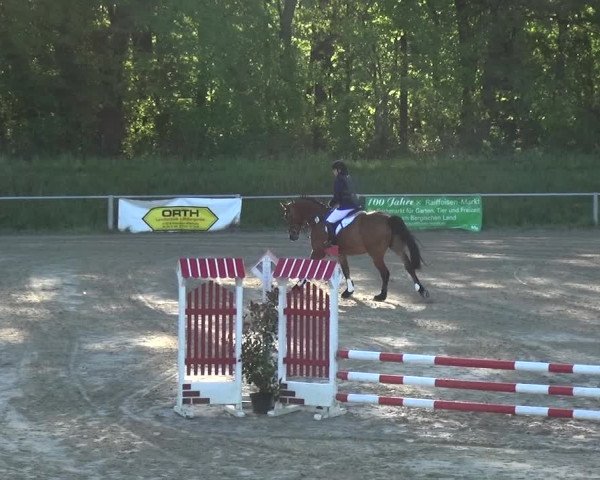 Reitturnier Köln-Leverkusen 2018