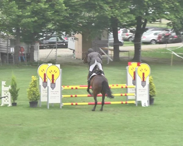 Reitturnier Uster 2018