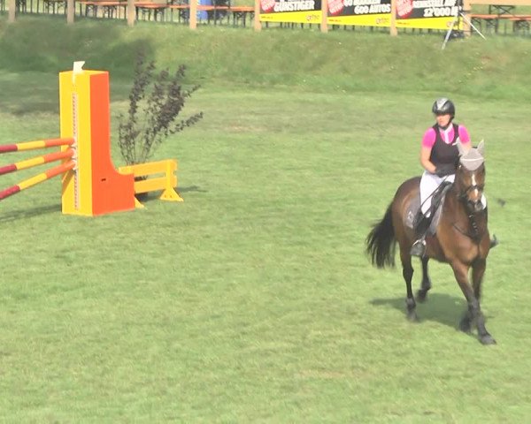 Reitturnier Uster 2018