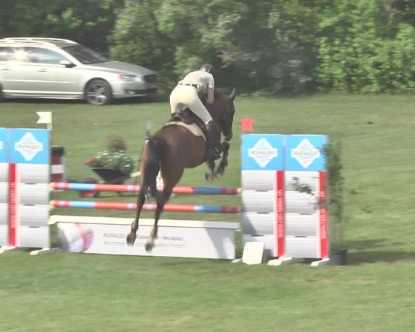 Reitturnier Uster 2018