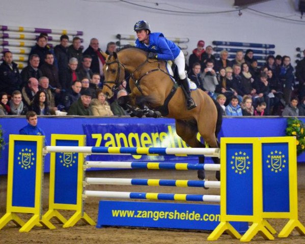 Deckhengst Crowntano Z (Zangersheide Reitpferd, 2007, von Crown Z)
