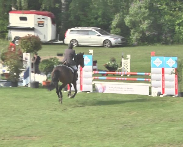 Reitturnier Uster 2018