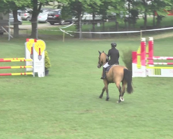 Reitturnier Uster 2018