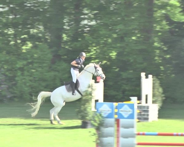 Reitturnier Uster 2018
