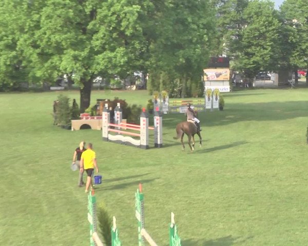 Reitturnier Uster 2018