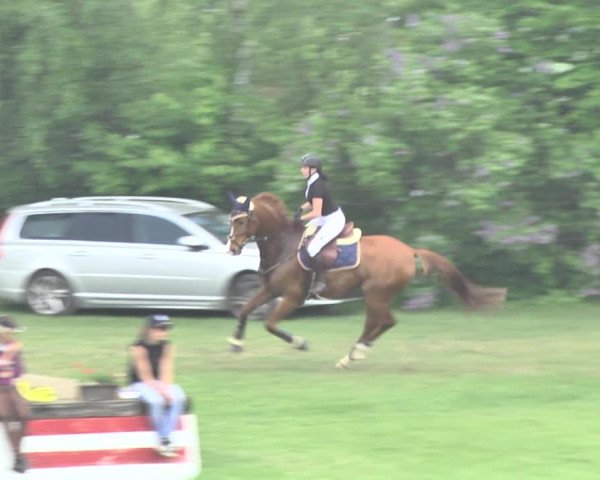 Reitturnier Uster 2018