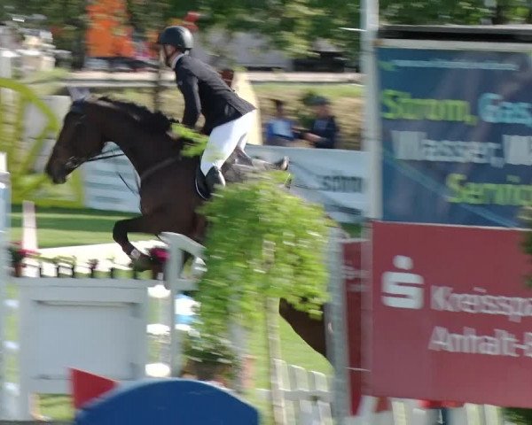 Greppiner Derby 2018