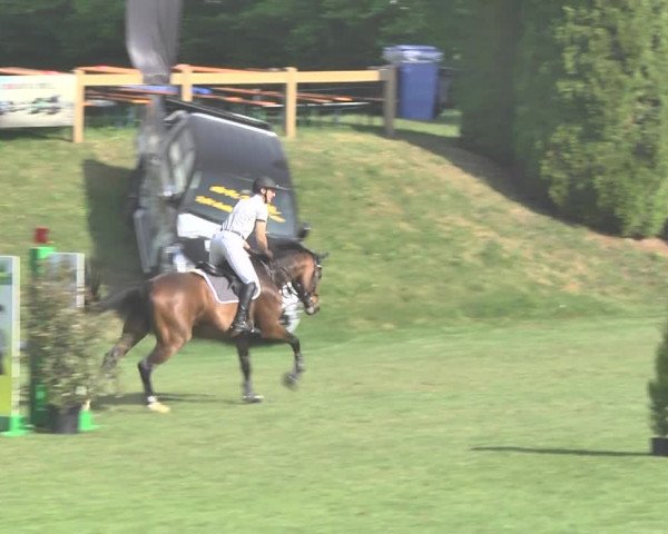Reitturnier Uster 2018