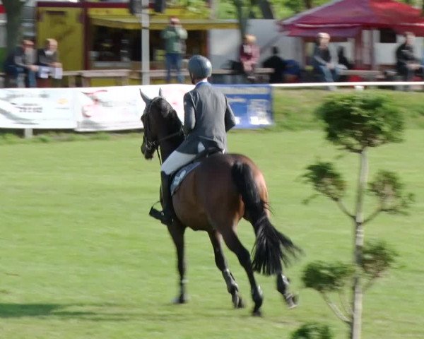 Greppiner Derby 2018