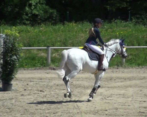 Reitturnier Köln-Leverkusen 2018