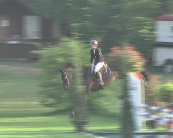 Reitturnier Uster 2018