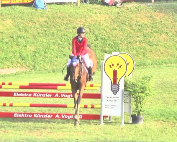 Reitturnier Uster 2018