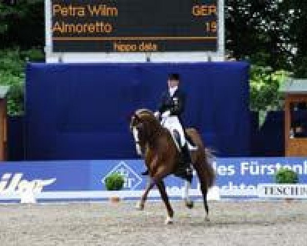 stallion Almoretto (Holsteiner, 2000, from Alcatraz)