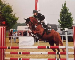 jumper Junkbrunnen's Noah de Luxe (German Riding Pony, 2009, from Noir de Luxe)