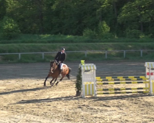 Reitturnier Köln-Leverkusen 2018