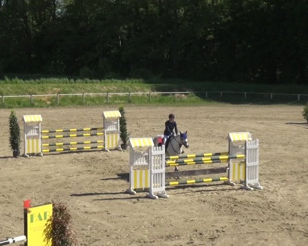 Reitturnier Köln-Leverkusen 2018
