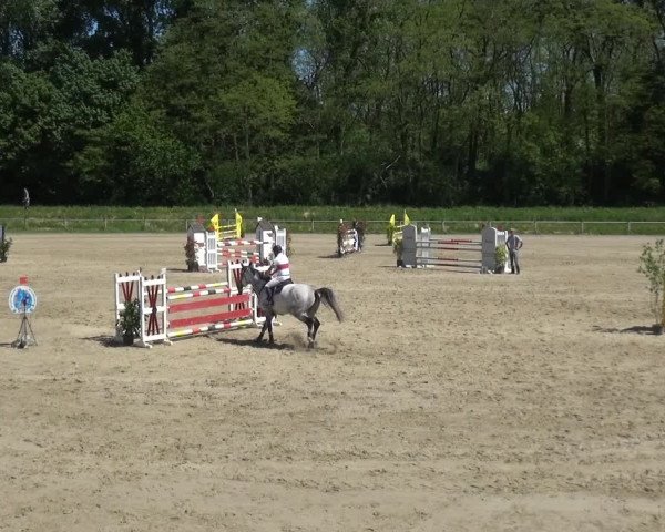 Reitturnier Köln-Leverkusen 2018