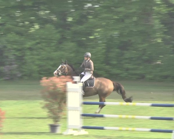 Reitturnier Uster 2018