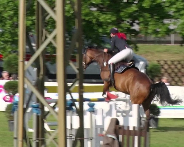 Greppiner Derby 2018
