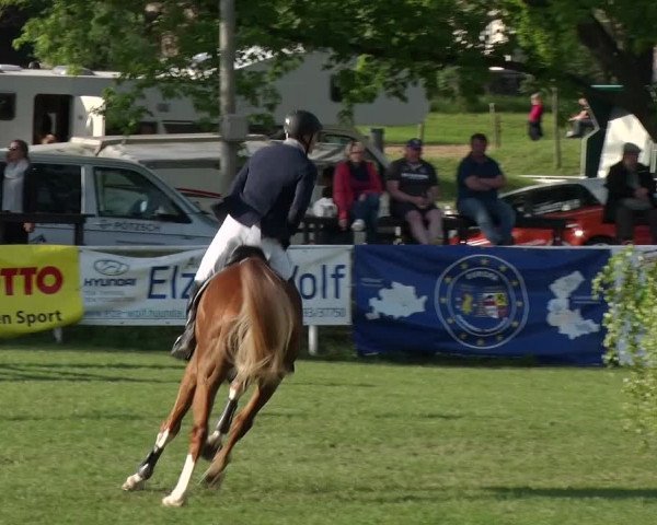 Greppiner Derby 2018