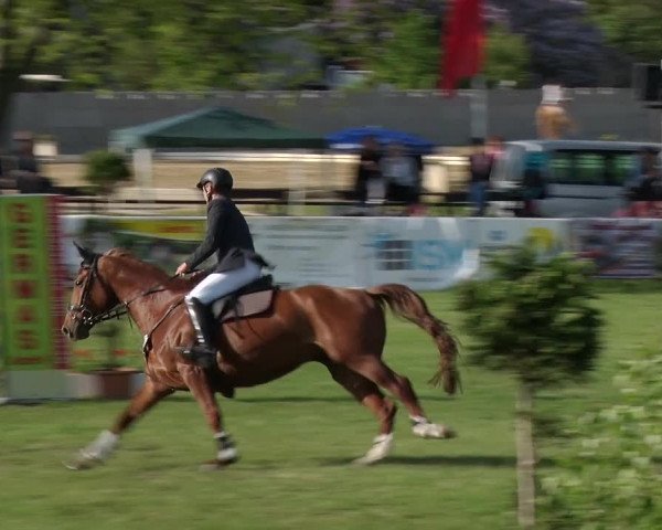 Greppiner Derby 2018