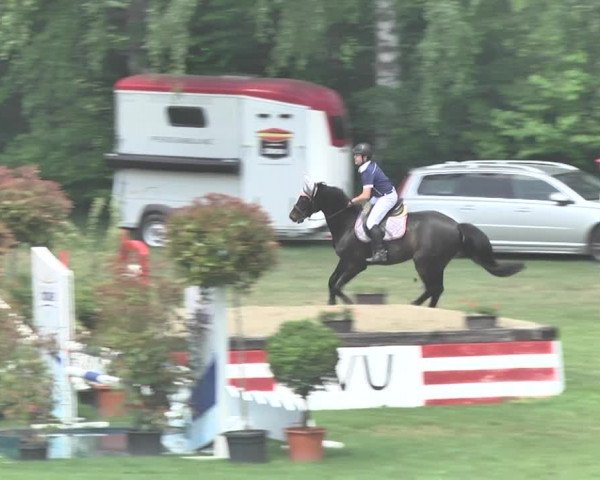 Reitturnier Uster 2018