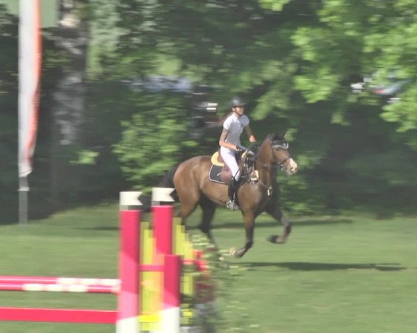 Reitturnier Uster 2018