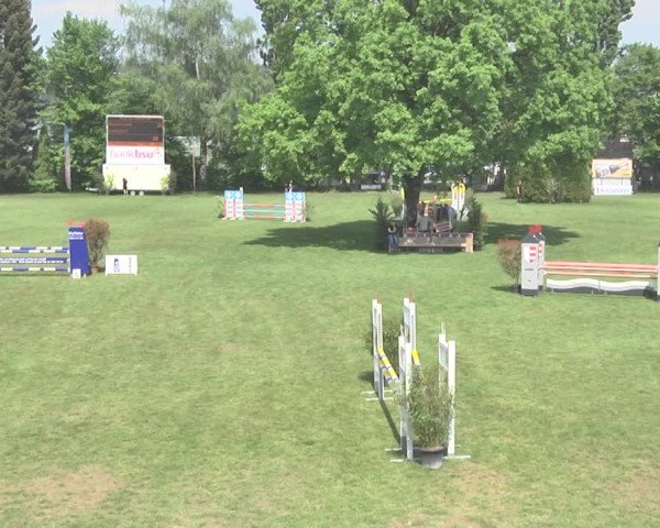 Reitturnier Uster 2018