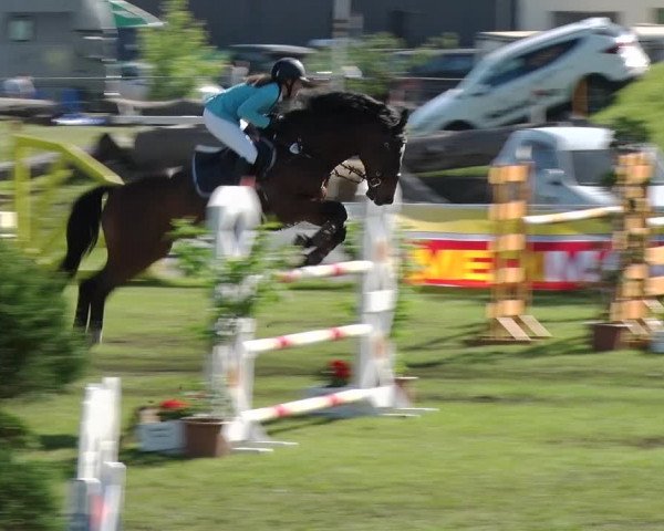 Greppiner Derby 2018
