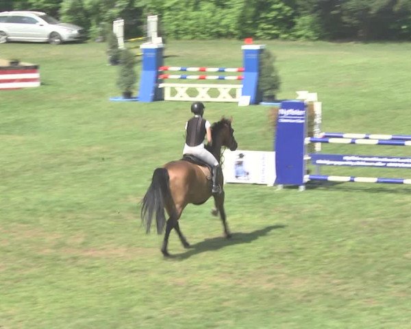 Reitturnier Uster 2018