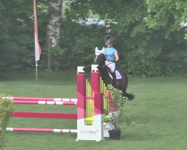 Reitturnier Uster 2018