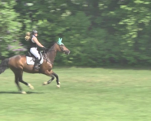 Reitturnier Uster 2018