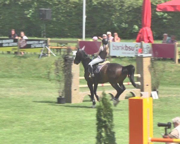 Reitturnier Uster 2018
