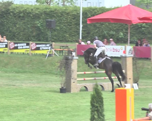 Reitturnier Uster 2018