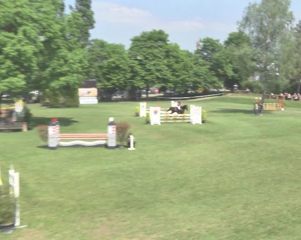 Reitturnier Uster 2018